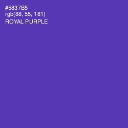 #5837B5 - Royal Purple Color Image