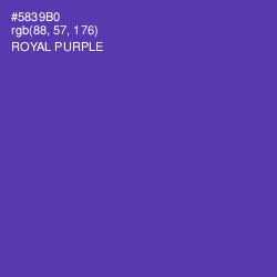 #5839B0 - Royal Purple Color Image