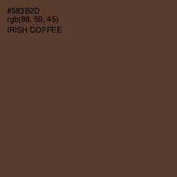 #583B2D - Irish Coffee Color Image