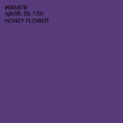 #583B7B - Honey Flower Color Image