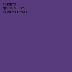 #583B7D - Honey Flower Color Image