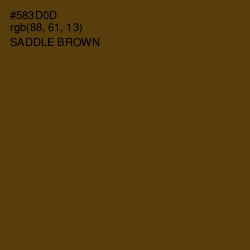 #583D0D - Saddle Brown Color Image