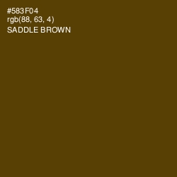 #583F04 - Saddle Brown Color Image