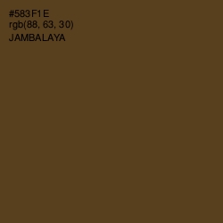 #583F1E - Jambalaya Color Image