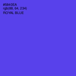 #5840EA - Royal Blue Color Image