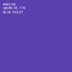 #5841AE - Blue Violet Color Image
