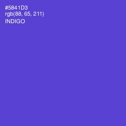 #5841D3 - Indigo Color Image