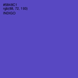 #5848C1 - Indigo Color Image