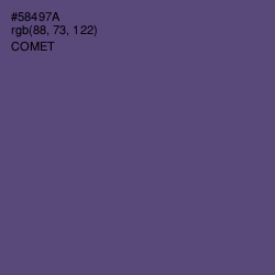 #58497A - Comet Color Image