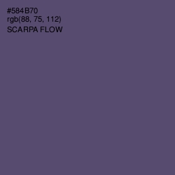 #584B70 - Scarpa Flow Color Image