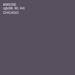 #58505E - Chicago Color Image