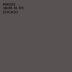 #585253 - Chicago Color Image