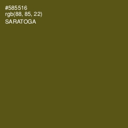 #585516 - Saratoga Color Image