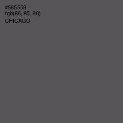 #585558 - Chicago Color Image