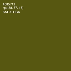 #585712 - Saratoga Color Image
