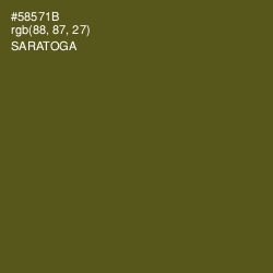 #58571B - Saratoga Color Image