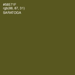 #58571F - Saratoga Color Image