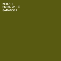 #585A11 - Saratoga Color Image