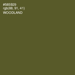 #585B29 - Woodland Color Image