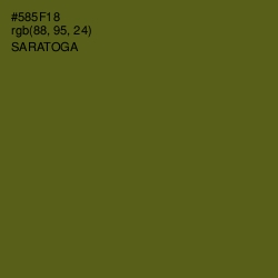 #585F18 - Saratoga Color Image