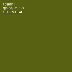 #586011 - Green Leaf Color Image