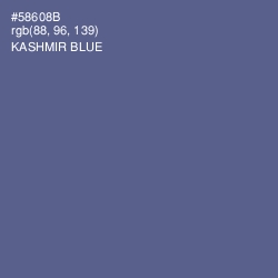 #58608B - Kashmir Blue Color Image