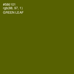 #586101 - Green Leaf Color Image