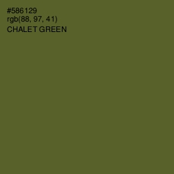 #586129 - Chalet Green Color Image