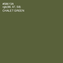 #58613A - Chalet Green Color Image