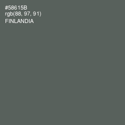 #58615B - Finlandia Color Image
