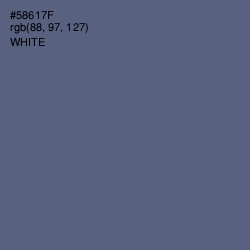 #58617F - Shuttle Gray Color Image