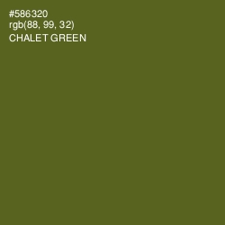 #586320 - Chalet Green Color Image