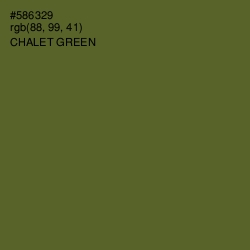 #586329 - Chalet Green Color Image