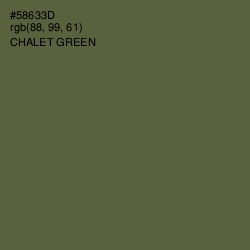 #58633D - Chalet Green Color Image