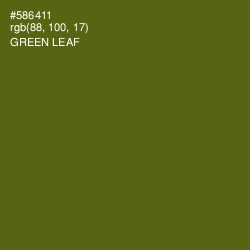 #586411 - Green Leaf Color Image