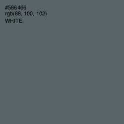 #586466 - Shuttle Gray Color Image