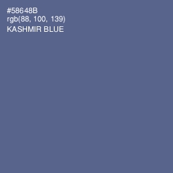 #58648B - Kashmir Blue Color Image