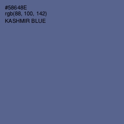 #58648E - Kashmir Blue Color Image