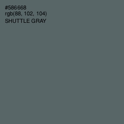 #586668 - Shuttle Gray Color Image