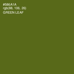 #586A1A - Green Leaf Color Image