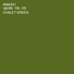 #586A21 - Chalet Green Color Image