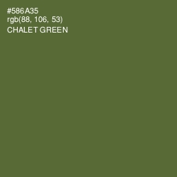 #586A35 - Chalet Green Color Image