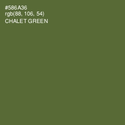 #586A36 - Chalet Green Color Image