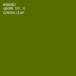 #586B01 - Green Leaf Color Image