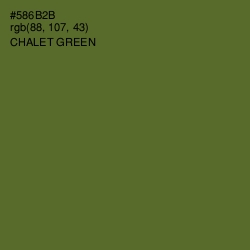 #586B2B - Chalet Green Color Image