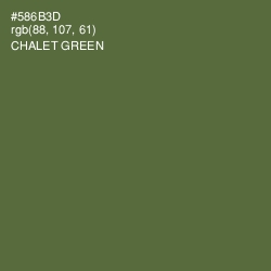 #586B3D - Chalet Green Color Image