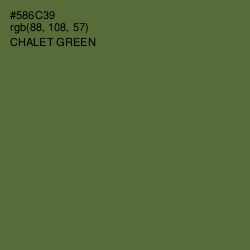 #586C39 - Chalet Green Color Image