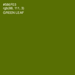 #586F03 - Green Leaf Color Image