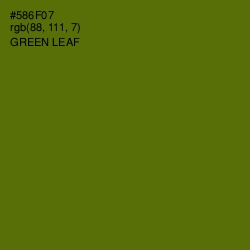 #586F07 - Green Leaf Color Image