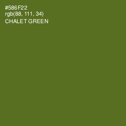 #586F22 - Chalet Green Color Image
